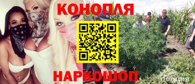 стаф Северобайкальск