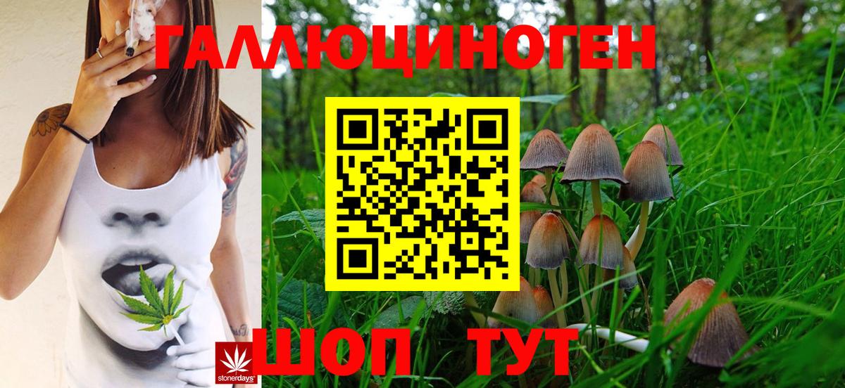 Галлюциногенные грибы MAGIC MUSHROOMS Павловский Посад