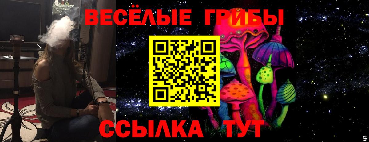 Павловский Посад  Псилоцибиновые грибы мухоморы  Вход с VPN 